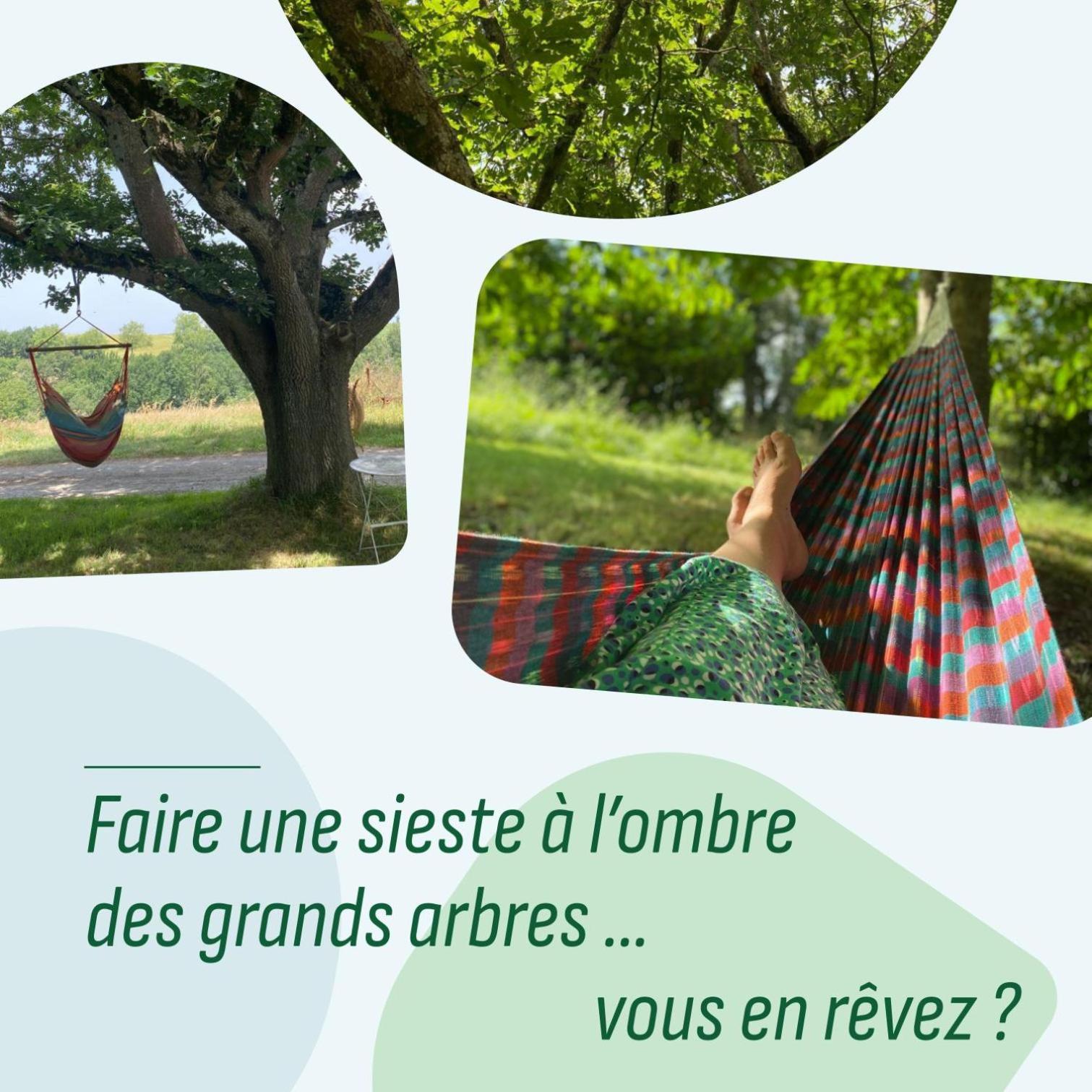 مبيت وإفطار Saint-Frajou Le Repaire De La Reveuse المظهر الخارجي الصورة